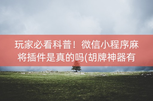 玩家必看科普！微信小程序麻将插件是真的吗(胡牌神器有猫腻吗)