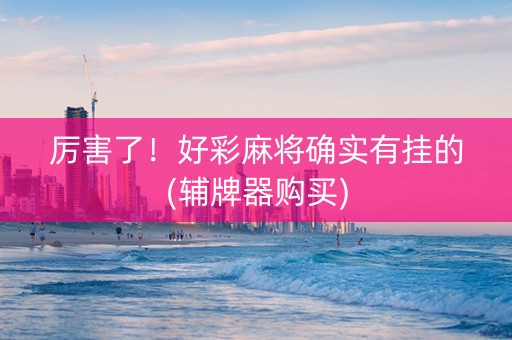 厉害了！好彩麻将确实有挂的(辅牌器购买)