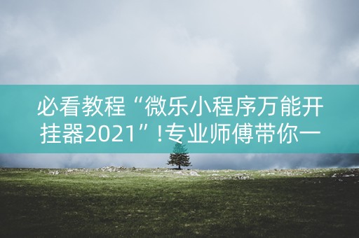 必看教程“微乐小程序万能开挂器2021”!专业师傅带你一起了解（详细教程）-抖音