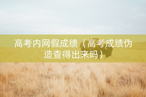 高考内网假成绩（高考成绩伪造查得出来吗）
