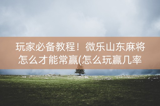 玩家必备教程！微乐山东麻将怎么才能常赢(怎么玩赢几率大)