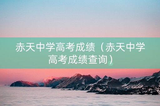 赤天中学高考成绩（赤天中学高考成绩查询）