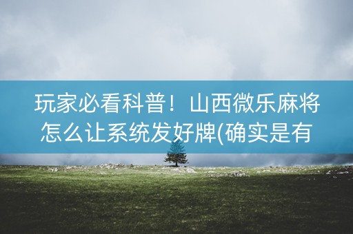玩家必看科普！山西微乐麻将怎么让系统发好牌(确实是有挂)