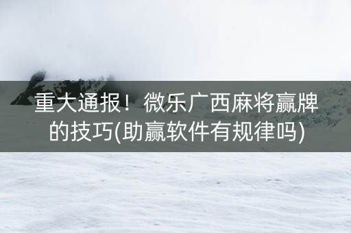 重大通报！微乐广西麻将赢牌的技巧(助赢软件有规律吗)