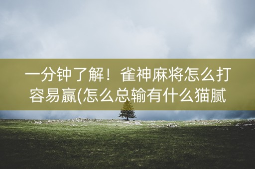 一分钟了解！雀神麻将怎么打容易赢(怎么总输有什么猫腻)