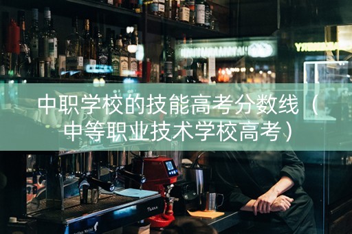 中职学校的技能高考分数线（中等职业技术学校高考）