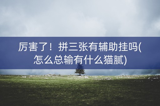 厉害了！拼三张有辅助挂吗(怎么总输有什么猫腻)