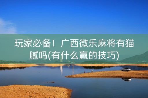玩家必备！广西微乐麻将有猫腻吗(有什么赢的技巧)