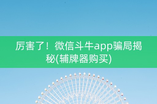 厉害了！微信斗牛app骗局揭秘(辅牌器购买)
