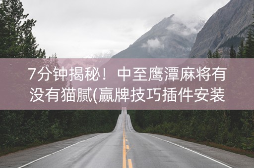 7分钟揭秘！中至鹰潭麻将有没有猫腻(赢牌技巧插件安装)