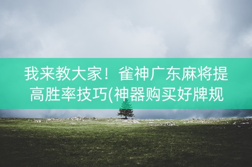 我来教大家！雀神广东麻将提高胜率技巧(神器购买好牌规律)
