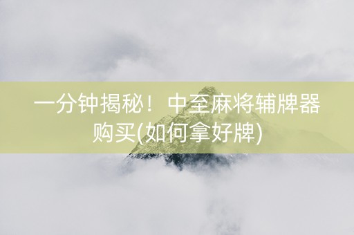一分钟揭秘！中至麻将辅牌器购买(如何拿好牌)