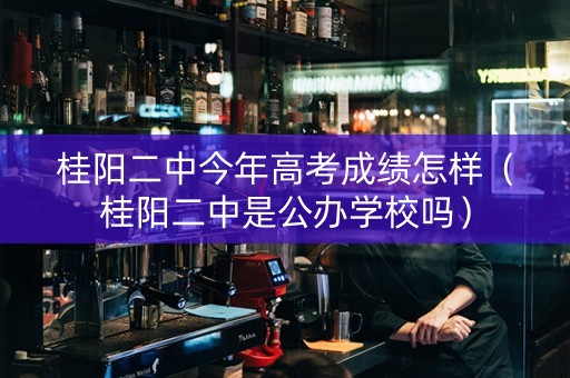 桂阳二中今年高考成绩怎样（桂阳二中是公办学校吗）