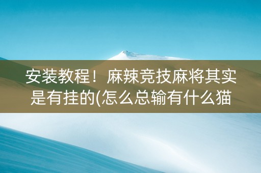 安装教程！麻辣竞技麻将其实是有挂的(怎么总输有什么猫腻)