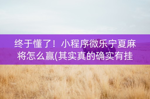 终于懂了！小程序微乐宁夏麻将怎么赢(其实真的确实有挂)