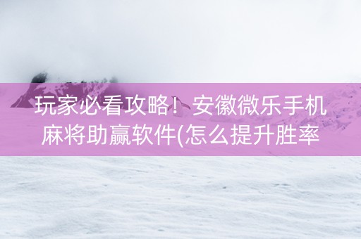 玩家必看攻略！安徽微乐手机麻将助赢软件(怎么提升胜率)