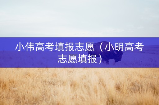 小伟高考填报志愿（小明高考志愿填报）