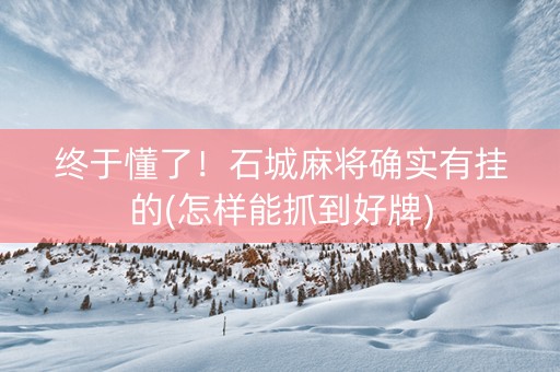 终于懂了！石城麻将确实有挂的(怎样能抓到好牌)