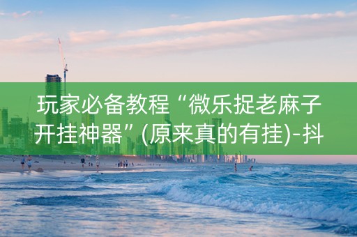 玩家必备教程“微乐捉老麻子开挂神器”(原来真的有挂)-抖音