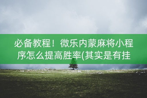 必备教程！微乐内蒙麻将小程序怎么提高胜率(其实是有挂确实有挂)