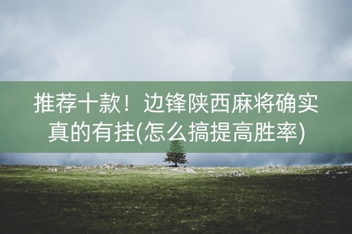 推荐十款！边锋陕西麻将确实真的有挂(怎么搞提高胜率)