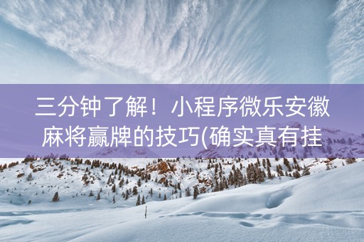 三分钟了解！小程序微乐安徽麻将赢牌的技巧(确实真有挂)