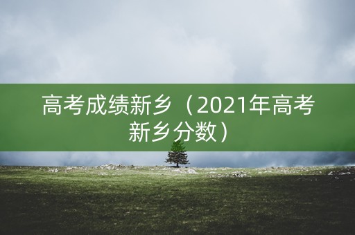 高考成绩新乡（2021年高考新乡分数）