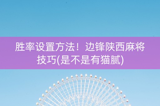 胜率设置方法！边锋陕西麻将技巧(是不是有猫腻)