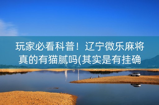 玩家必看科普！辽宁微乐麻将真的有猫腻吗(其实是有挂确实有挂)
