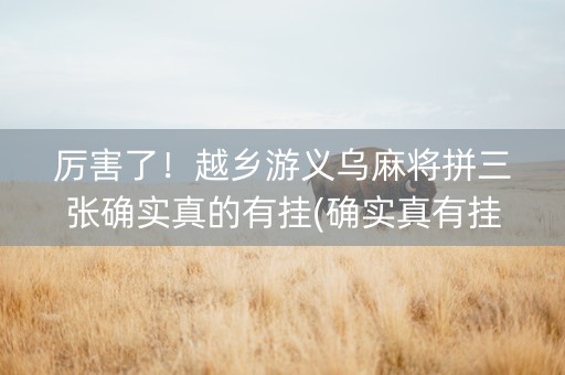 厉害了！越乡游义乌麻将拼三张确实真的有挂(确实真有挂)