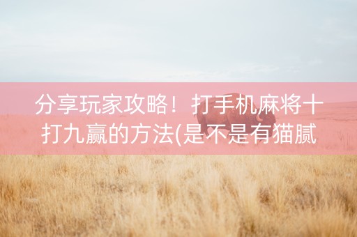 分享玩家攻略！打手机麻将十打九赢的方法(是不是有猫腻)