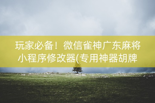 玩家必备！微信雀神广东麻将小程序修改器(专用神器胡牌技巧)