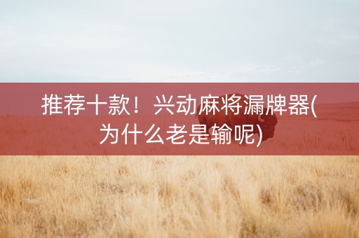 推荐十款！兴动麻将漏牌器(为什么老是输呢)