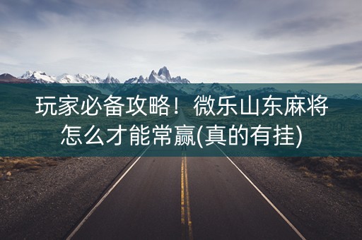 玩家必备攻略！微乐山东麻将怎么才能常赢(真的有挂)