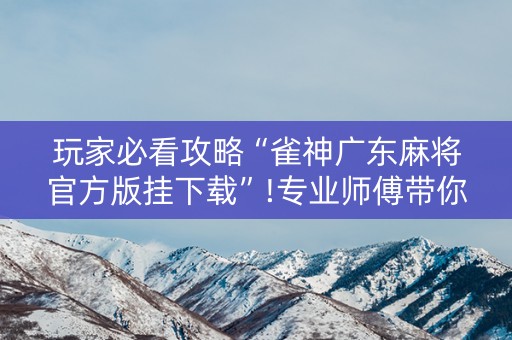 玩家必看攻略“雀神广东麻将官方版挂下载”!专业师傅带你一起了解（详细教程）-抖音