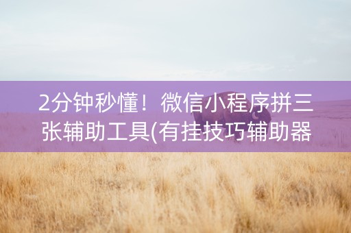 2分钟秒懂！微信小程序拼三张辅助工具(有挂技巧辅助器)