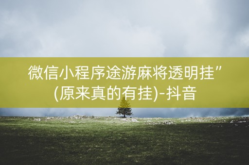 微信小程序途游麻将透明挂”(原来真的有挂)-抖音