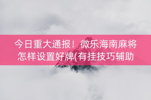 今日重大通报！微乐海南麻将怎样设置好牌(有挂技巧辅助器)