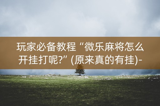 玩家必备教程“微乐麻将怎么开挂打呢?”(原来真的有挂)-抖音