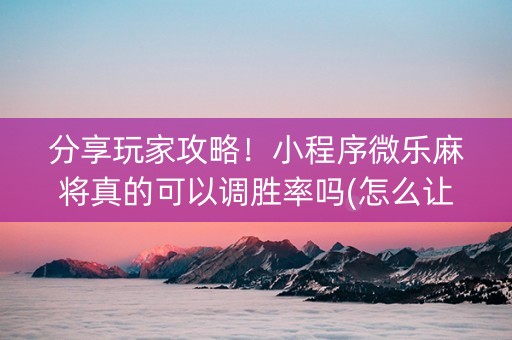 分享玩家攻略！小程序微乐麻将真的可以调胜率吗(怎么让牌更好)