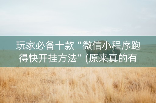 玩家必备十款“微信小程序跑得快开挂方法”(原来真的有挂)-抖音