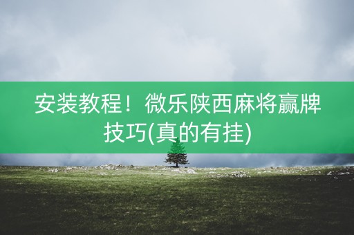 安装教程！微乐陕西麻将赢牌技巧(真的有挂)