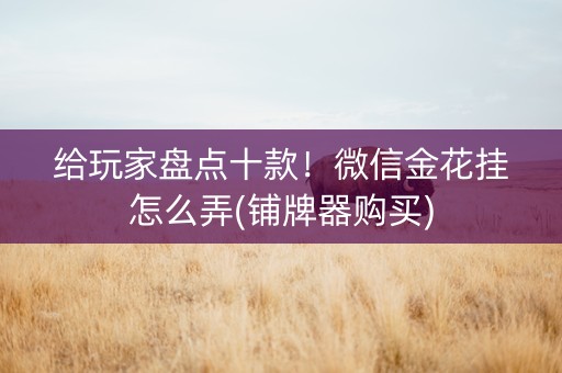 给玩家盘点十款！微信金花挂怎么弄(铺牌器购买)