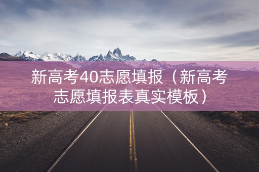 新高考40志愿填报（新高考志愿填报表真实模板）
