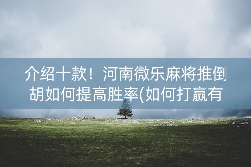 介绍十款！河南微乐麻将推倒胡如何提高胜率(如何打赢有插件吗)