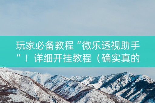 玩家必备教程“微乐透视助手”！详细开挂教程（确实真的有挂)-抖音