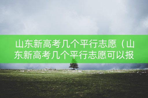山东新高考几个平行志愿（山东新高考几个平行志愿可以报）