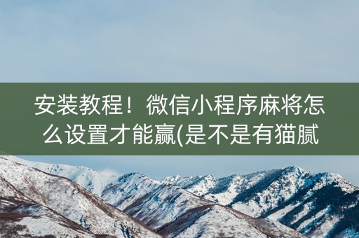 安装教程！微信小程序麻将怎么设置才能赢(是不是有猫腻)