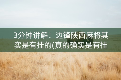 3分钟讲解！边锋陕西麻将其实是有挂的(真的确实是有挂)