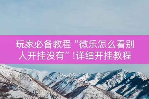 玩家必备教程“微乐怎么看别人开挂没有”!详细开挂教程-抖音